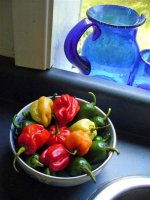 hot peppers (Medium).jpg