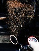 69_Wet_Sign_Focus_100_Crop2.jpg