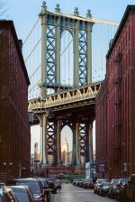 dumbo.jpg