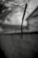 _XPB0028.ixt-1-1.jpg