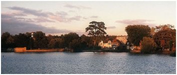 mill pond rff.jpg