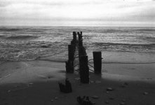2017-04-19-PAN400-008m.jpg