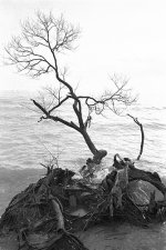 2017-04-19-PAN400-010xs.jpg