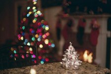 Christmas Tree 08 low res rff.jpg