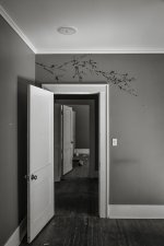 _LS10021-1-2-1.jpg