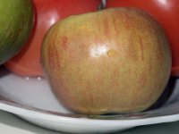 PC241798.jpg