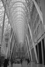 2017-04-19-PAN400-005xs.jpg