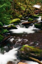 multnomah_upper34_ektar100_b.jpg