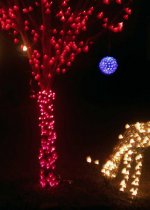 Heart Lights 1 08 low res rff.jpg