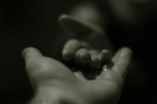 DSC_2542sm.jpg