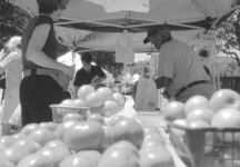 DK-Farmers-Market-1.jpg