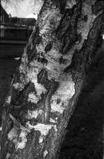 B112_001a.jpg