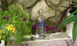 vodka.jpg