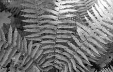 img019.jpg