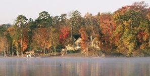 Shore - Mist - Bird.jpg