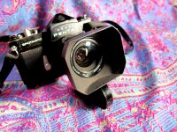 IMG_0674rff.jpg