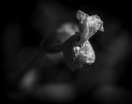 20211014Filename-2.jpg