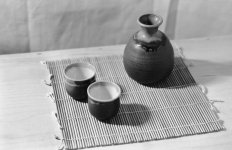 M6_070209_foma200_PrEF_0002 nn u.jpg