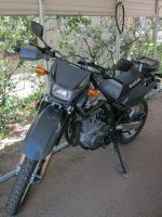 IMG_0397rff.jpg