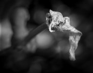 20211014Filename-3.jpg