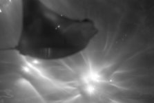 L1010797.jpg