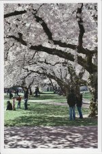 201204uw2.jpg