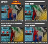 X1_GXR_XZ1_S95_isoLOW_raw.jpg