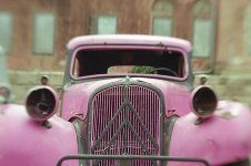 lb2_pink_citroen3.jpg