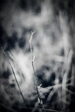 L1005538-Edit.jpg