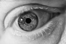 eyesmall.jpg