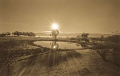 Sunrise, WWPD copy.jpg