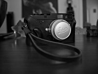 P7160072.jpg