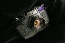 RIMG0010a.jpg