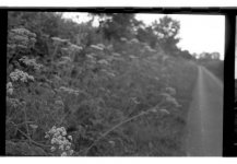 untitled (9 of 16).jpg