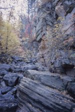 MaplesInOakCreekCanyon-east-6x9.jpg