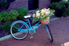 FINAL Blue Bicycle Flowers Senoia 2015_rff.jpg