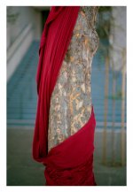 TreeInFormalAttire600.jpg