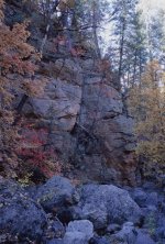 MaplesInOakCreekCanyon-west-6x9.jpg