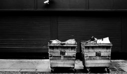 two bins and camera.jpg