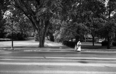 Lady by the road.jpg