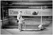Yashica_london021-4.jpg