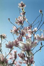Copy-of-Untitled-20.jpg