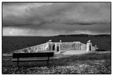 B&W-WSea-Birds-&-Bench-rff.jpg