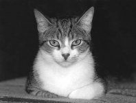 img025a.jpg