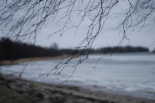 _DSC5321.jpg