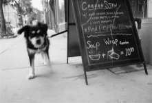 Untitled-38 (Large).jpg