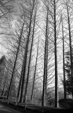 img453.jpg