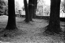 fomapan200fomadonp.jpg