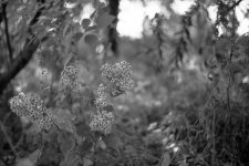 img052.JPG