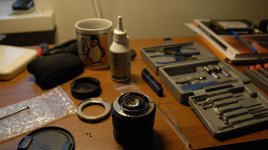 _DSC5272.jpg